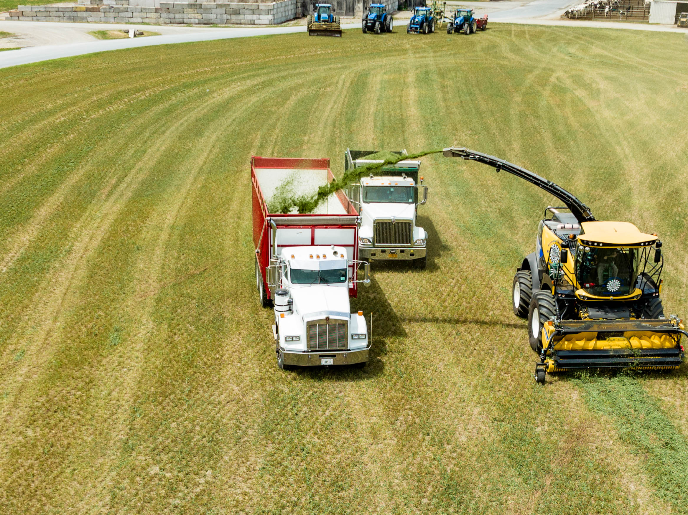 Commercial Farm Harvesting Operation in Upstate New York Herrington Farm aerial view - on location Troy NY - rcm Imaging
