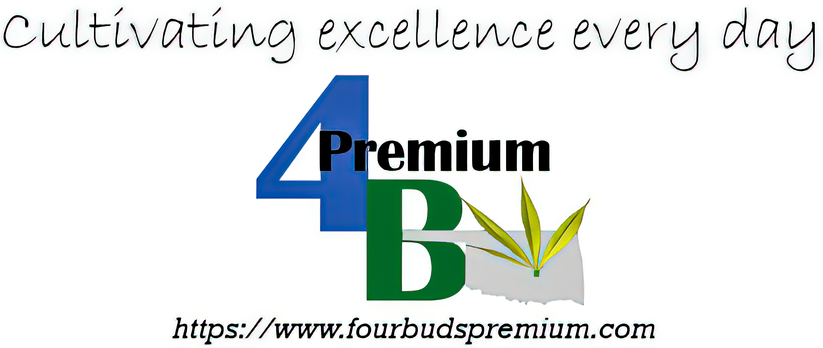 FourBudsPremium