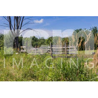 old wooden fence