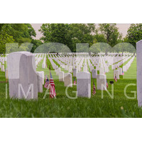 Arlington National Cemetery  -10