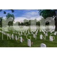 Arlington National Cemetery  -5-2