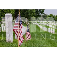 Arlington National Cemetery  -8-2